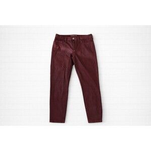 Banana Republic  Oxblood Red Coated Skinny Stretch Jeans 29